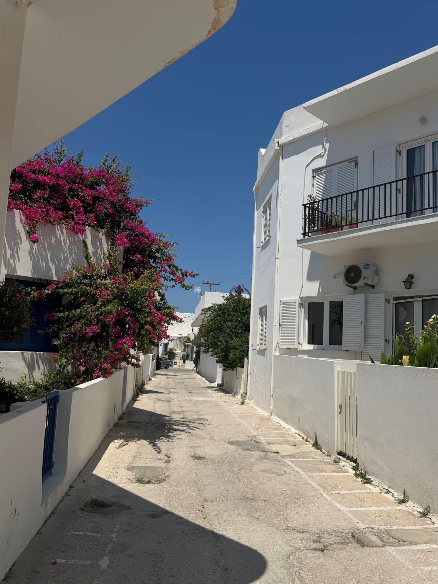 Weiße Gasse mit Bougainvillea auf Paros, ELA Reisestrecke